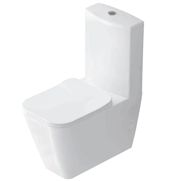 Halley Back to Wall WC Pan