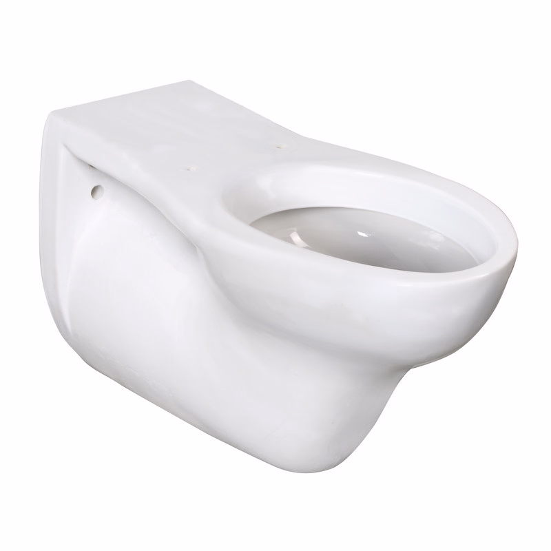 EASY Series 75 cm Ceramic Wall-Hung Toilet