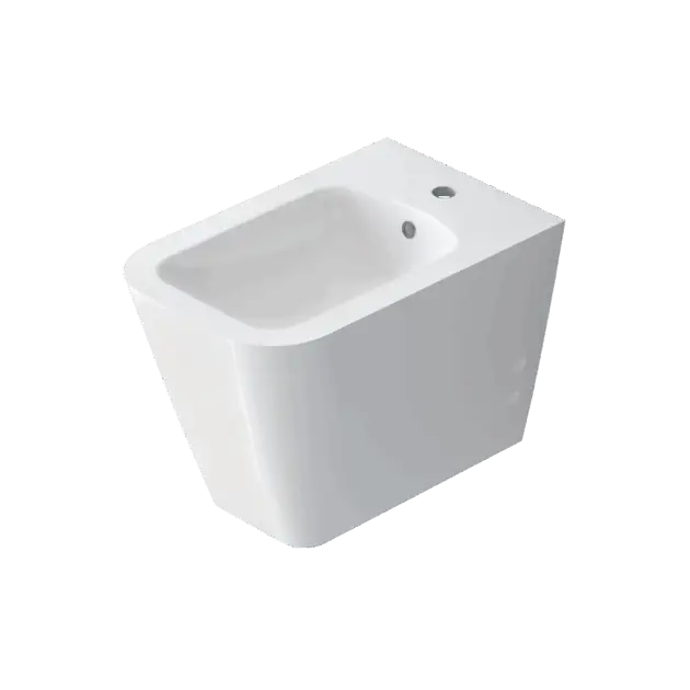 Back to Wall Bidet