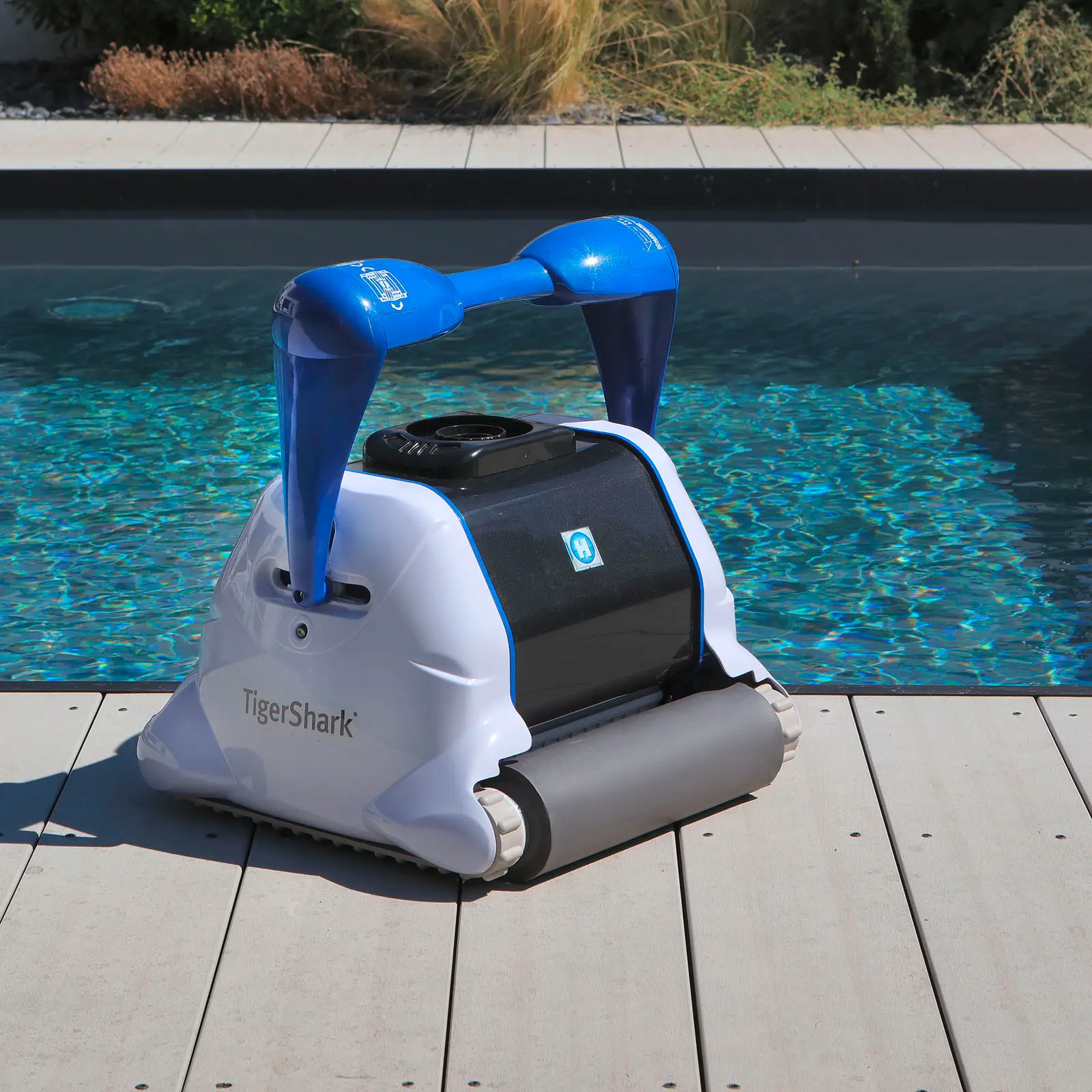 TigerShark® Pool Cleaner / TigerShark® QC - Image 2